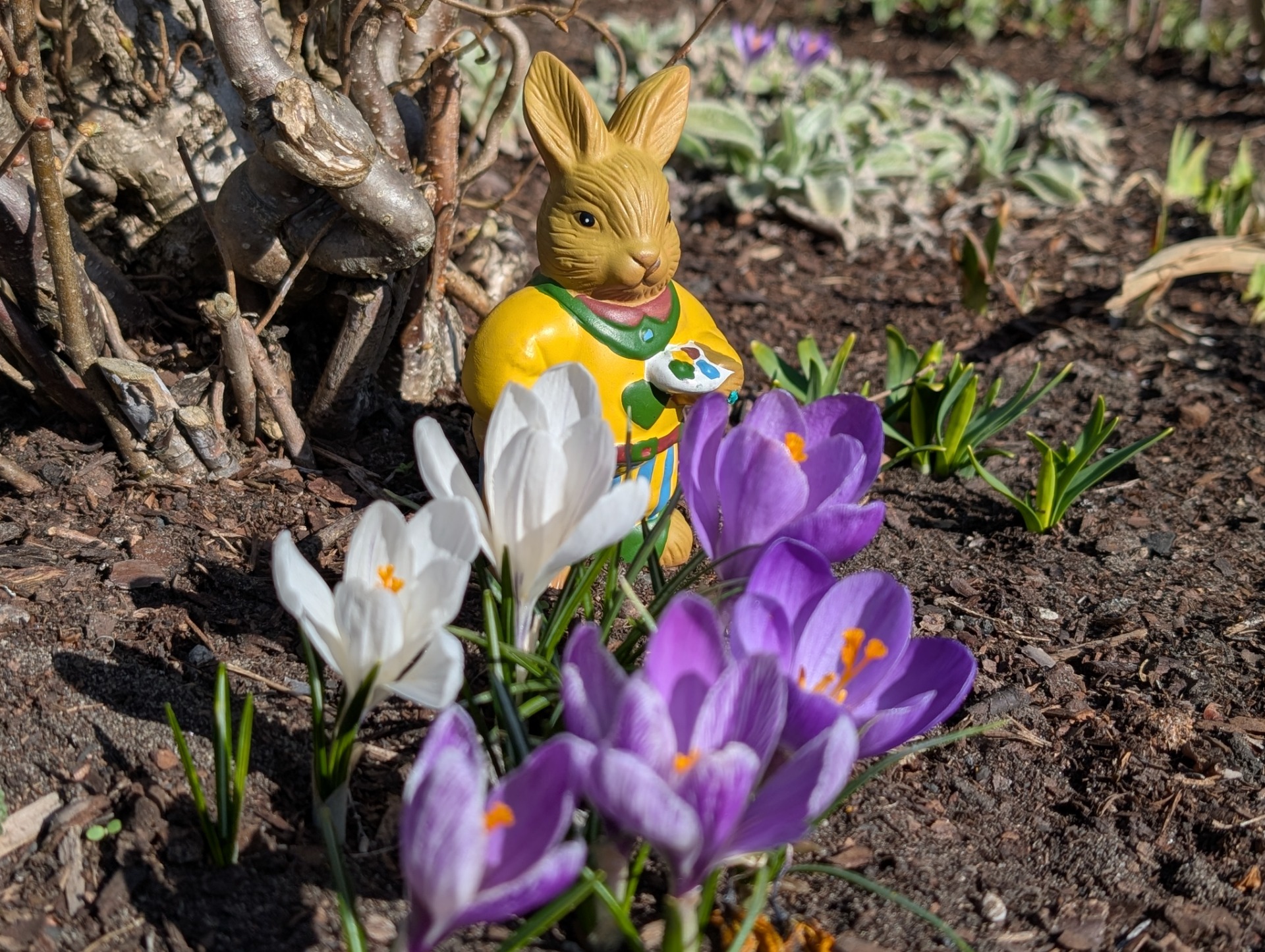 Osterhase am Bahnhofsweg gesichtet